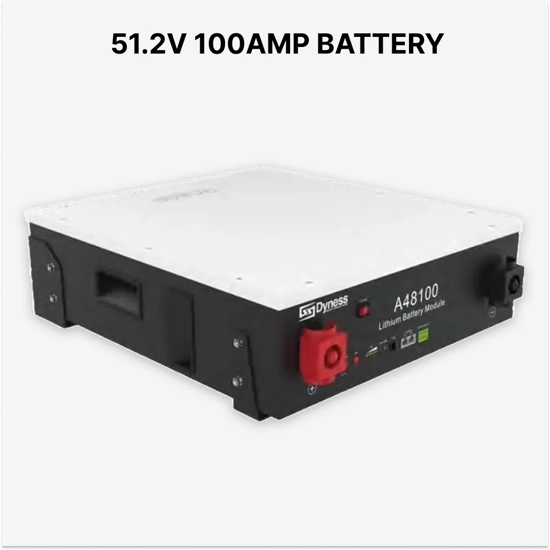 Dyness Lithium Battery 51.2V 100Ah 8000 Lifecycle